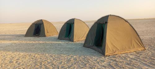 Sedudu Tours & Safaris