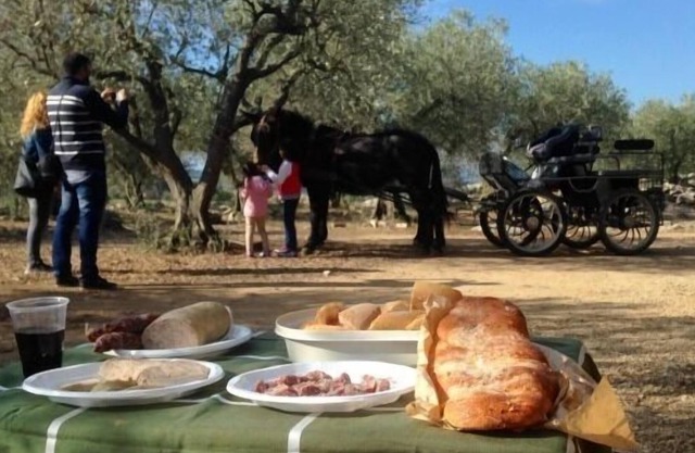 Self catering Can Barraca for 5 people