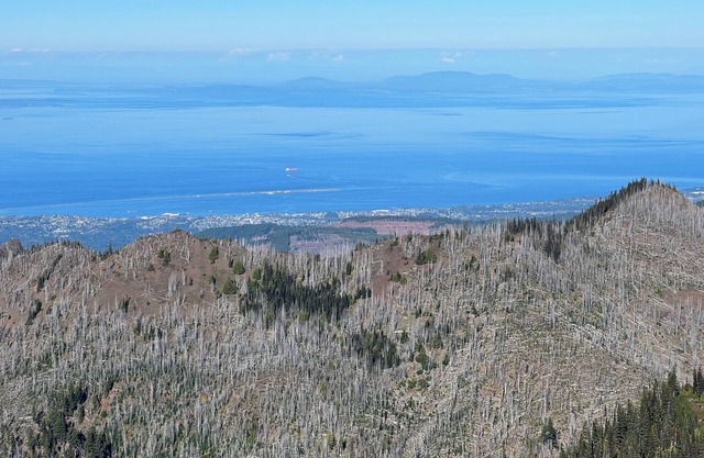 Sequim And Sun