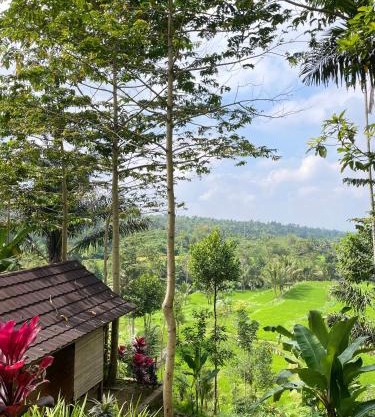 Serenity Lodge Tetebatu Lombok
