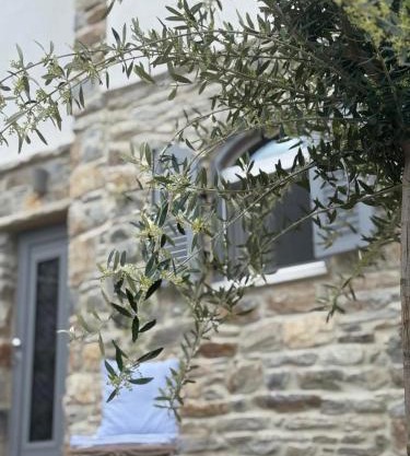 Servena's Damarionas Village