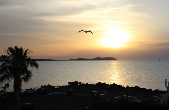 Ses Fontanelles apartments with frontal views of the sea and the sunset