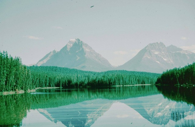 Settle in at our Newly Renovated Downtown Portland Hotel