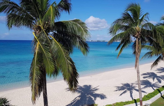 SEVEN MILE BEACH 1 BEDROOM CONDO, Waterfront! 2 paddleboards included