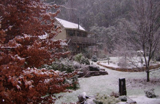Shadybrook Alpine Apartment and garden