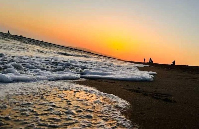 Shaggy Seahorse:Beach~Bay~2ndSt~Fast Wi-Fi+Pets OK