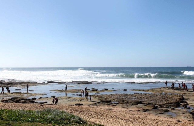 Shelly Beach Getaway