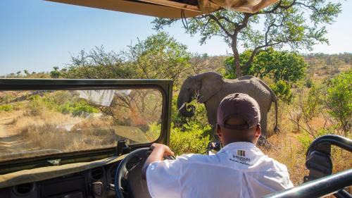 Shishangeni Lodge In Kruger National Park