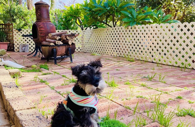 Short term house share close to shops and other amenities.