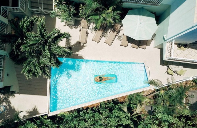 Silver Palm at Palm Terrace