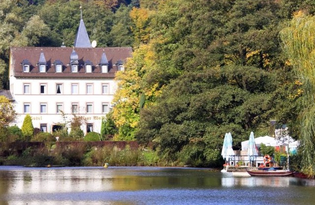 Single room EXCLUSIVE - Hotel Palatinate Forest