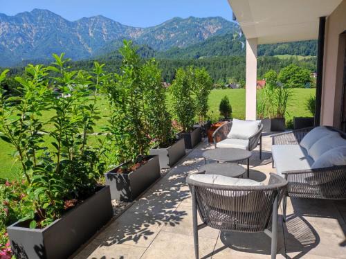 SINGULAR - Mountainview Apartments