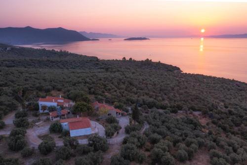 SIX INDEPENDENT HOUSES BY THE sea