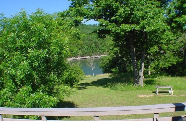Six-Person Hot Tub, Lakeside, King Beds, Fireplace!