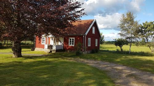 Skeens Nygård