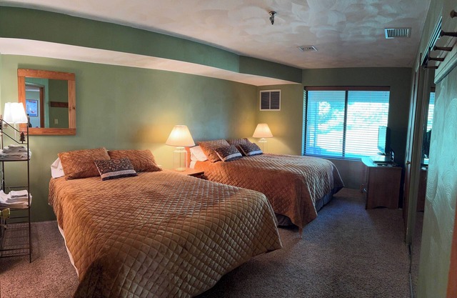 Ski- In, Ski- Out, Ground Floor, Wi-Fi , use of hot tub & fireplace in Lounge