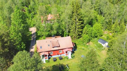 Skogstjärna