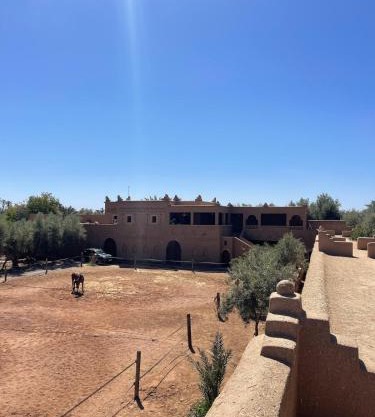 Skoura Ranch Palm Grove