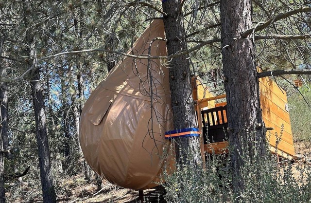 Sky Pod/Tree Tent#1