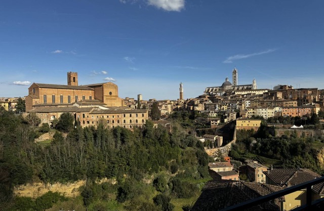 Skyline Siena (moncheri/bluemoon/sunshine)