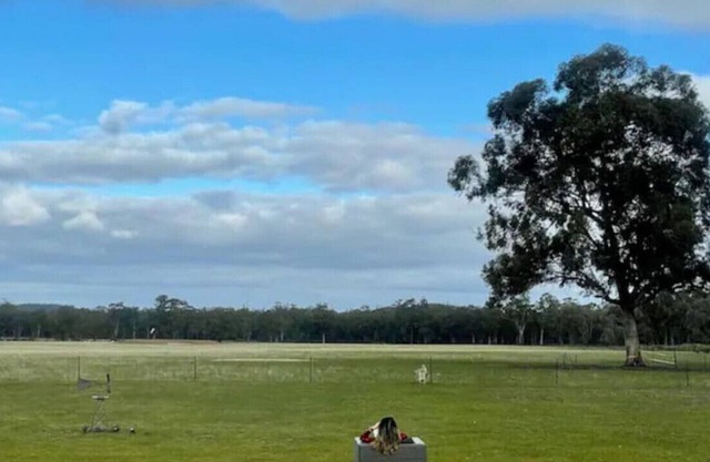 Slice of paradise! Farm stay with friendly goats