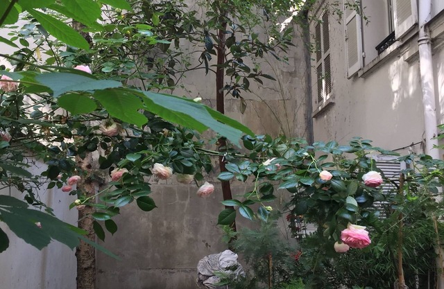 Small house, completely reniewed, at the back of a silent yard, with trees.