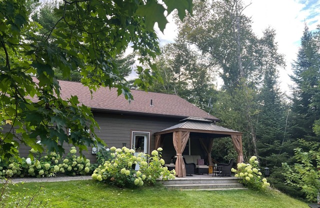 Smith Lake Cabin with Game Room