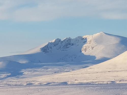 Snøhetta Camping