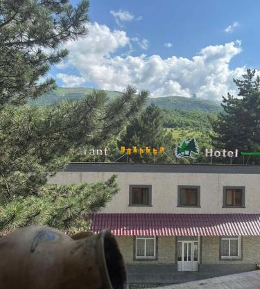 Sochiner Hotel