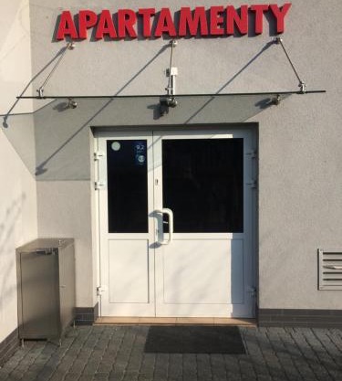 Sokół