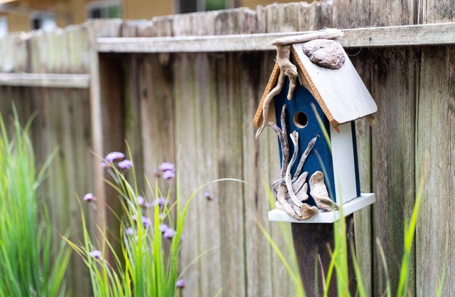Sophisticated Boho Home in the heart of James Bay