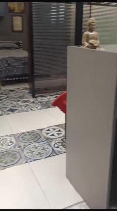 South Delhi Best Location Brand New Cabins Stay