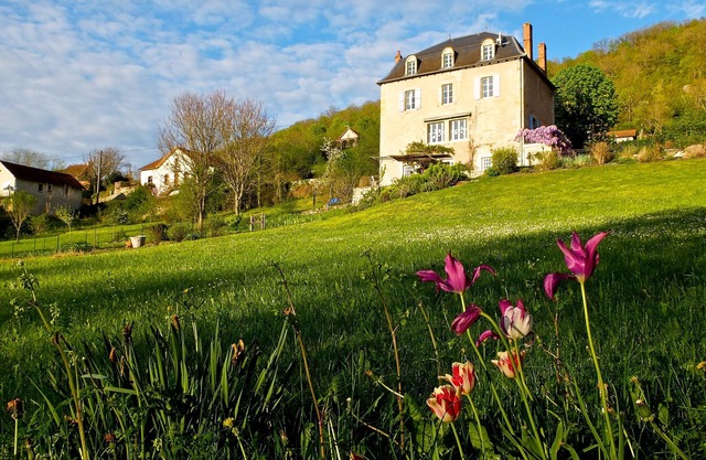 Spacious air-conditioned apartment with large garden