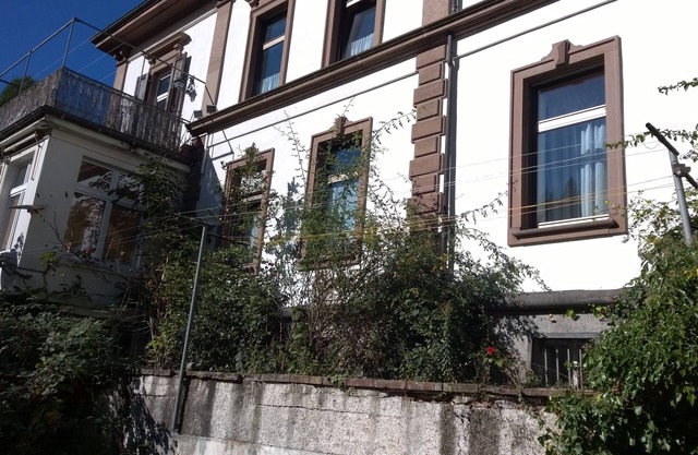 Spacious appartment in town villa in small city in the Black Forest