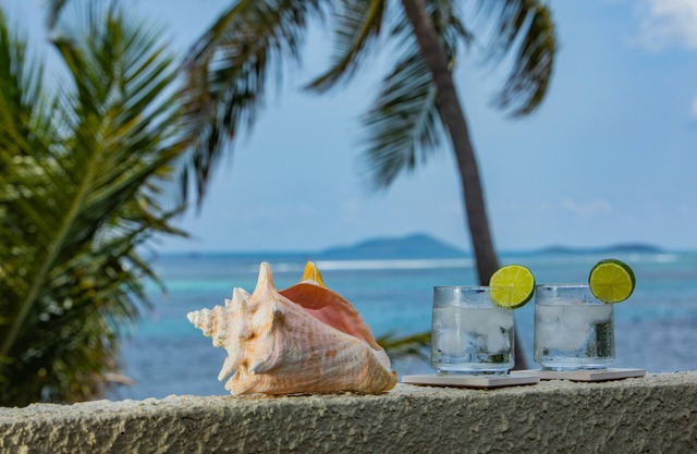 Spacious beach front living with spectacular Caribbean sea-views.