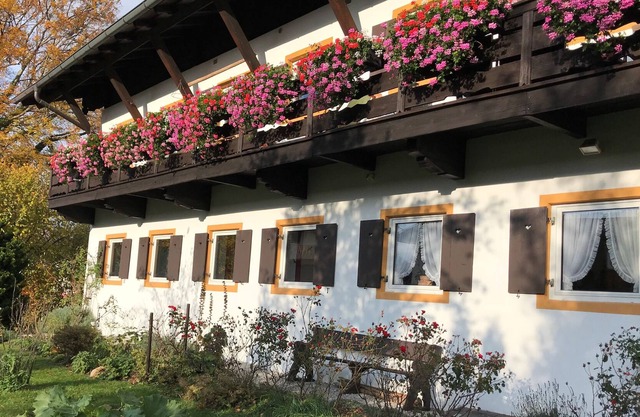 Spacious & sunny 3 bedroom apartment with garden