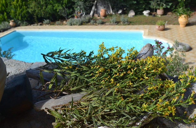 Spacious Holiday Home near Sea in Nerotrivia