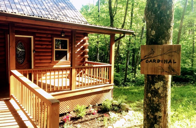 Spacious Log Cabin with Hot Tub, Fire Pit, Large Decks & Wood Fireplace