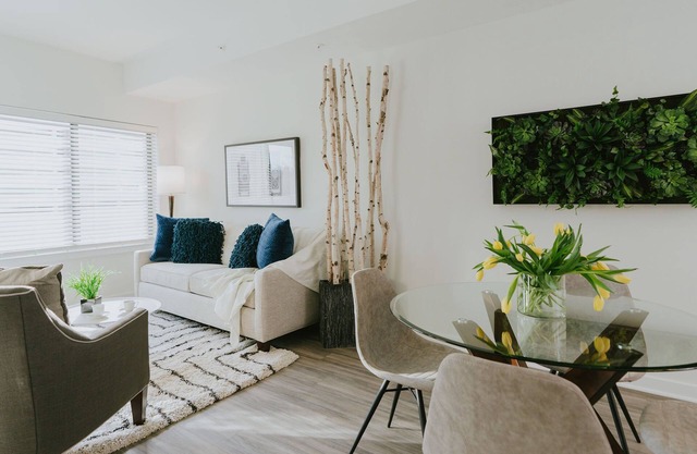 Spacious, New, Furnished Luxury Apartment Walking Distance to Merriweather Post