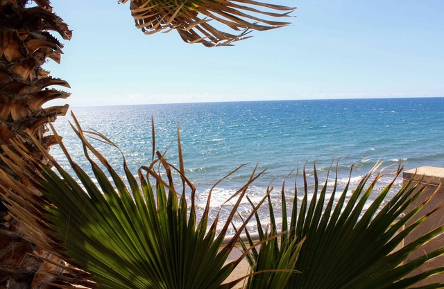Special Offer Apartment with pool and ocean view