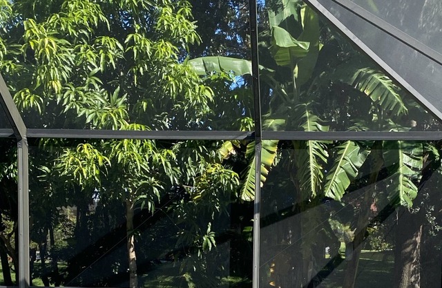 Spend your deserved vacation at the Palmtree Paradise, pool and hot tub