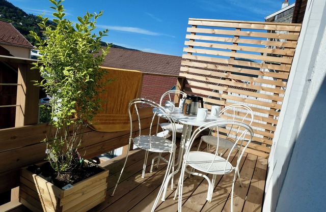 Splendid high quality refurbished Flat with large balcony, center of Gerardmer
