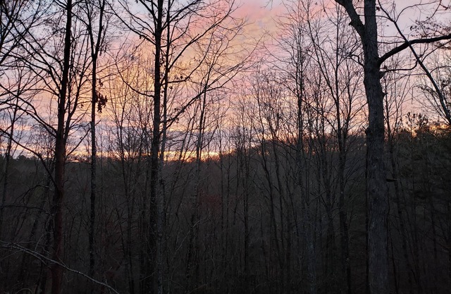 Squirrels Hideaway | Fire Pit | MTN Views