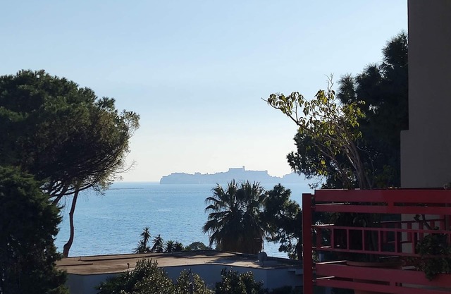 Stay in a dream summer apartment!