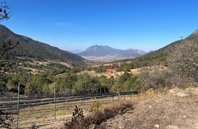 Stay in an RV inside a Vineyard. Unique experience