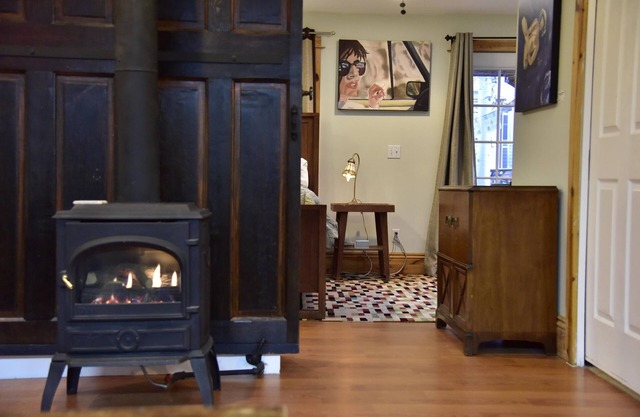 Steampunk Art Studio -Carriage House:Hot Tub, Firepit, yard, walkable, Near LODO