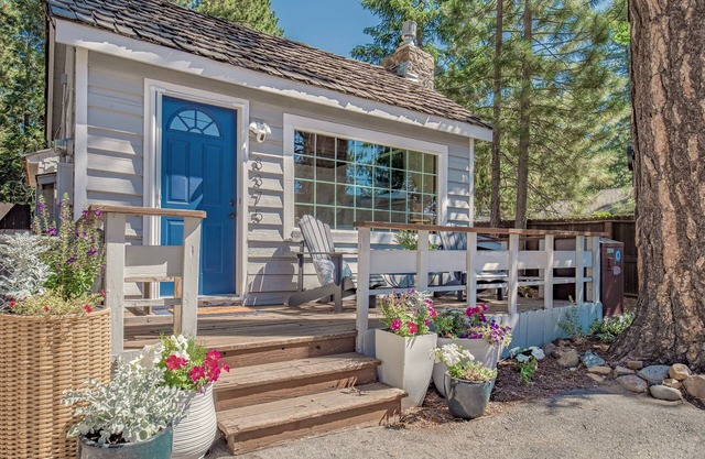 Steps From the Beach. Tahoe Tipsy Trout. It's a VIBE