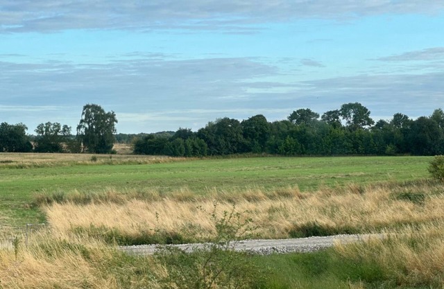 Stilvolles Ganzjährig Nutzbares Holzhaus am Meer, in Ruhiger Lage