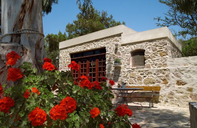 Stone-built studio under two Eucalyptus trees.