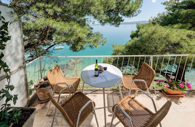 Stone forest villa in small dalmatian village Pisak